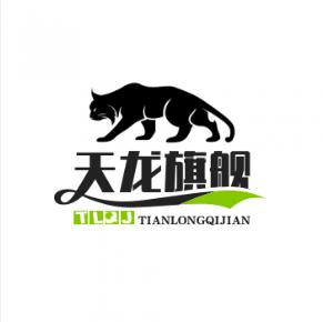 天龙旗舰店